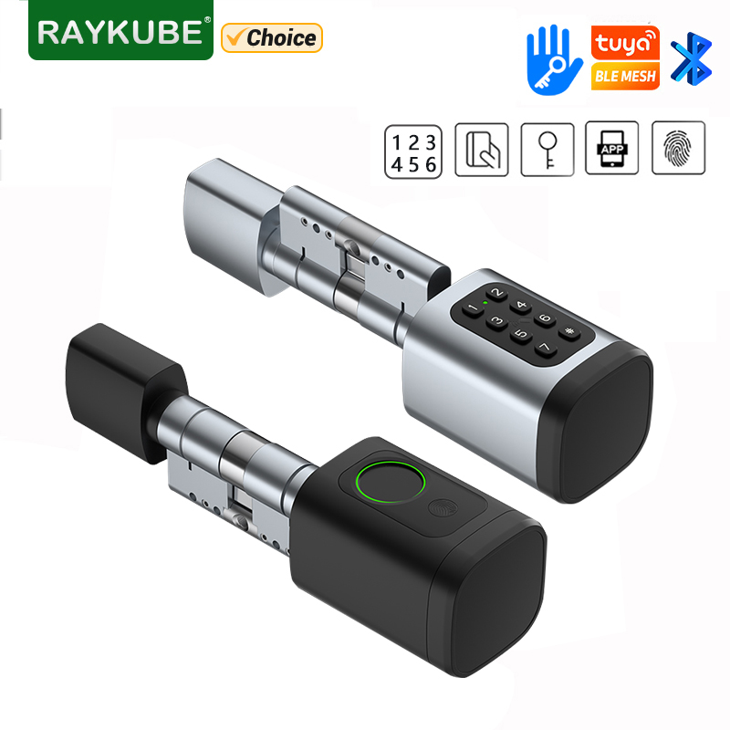 Home Automation System Diy - RAYKUBE V1 Tuya BLE TT Kunci